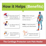 Joint P@in Capsules Combo Pack of 3 Bottles
