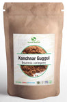 Kanchnar Guggul Powder 100gm | Kanchnaar Guggul | Kanchnar Guggal