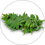 Organic Neem Leaves dry Azadirachta indica